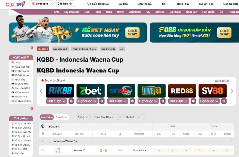 Indonesia Waena Cup